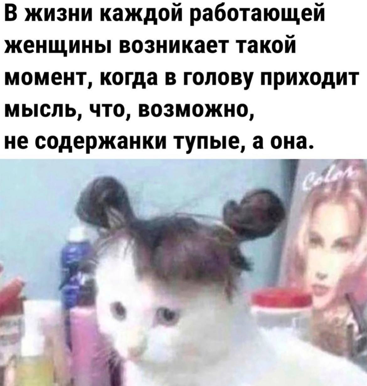 Развратная девушка с годами не становится умнее Развратная девушка с годами не становится умнее
