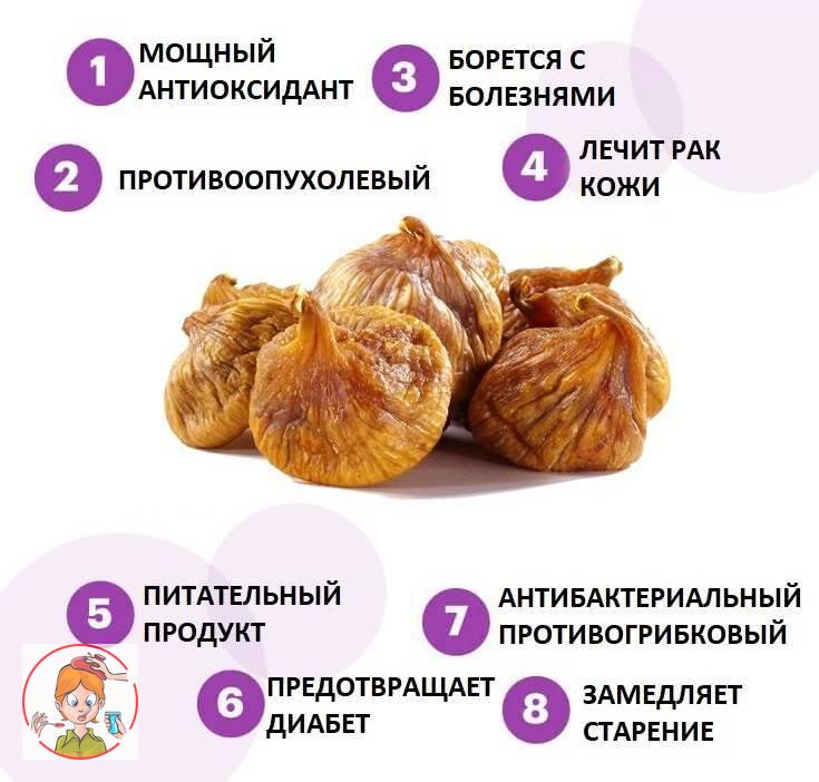 Инжир свойства. Чем полезен инжир. Инжир свойства. Инжир свойства. Инжир сушёный полезные.