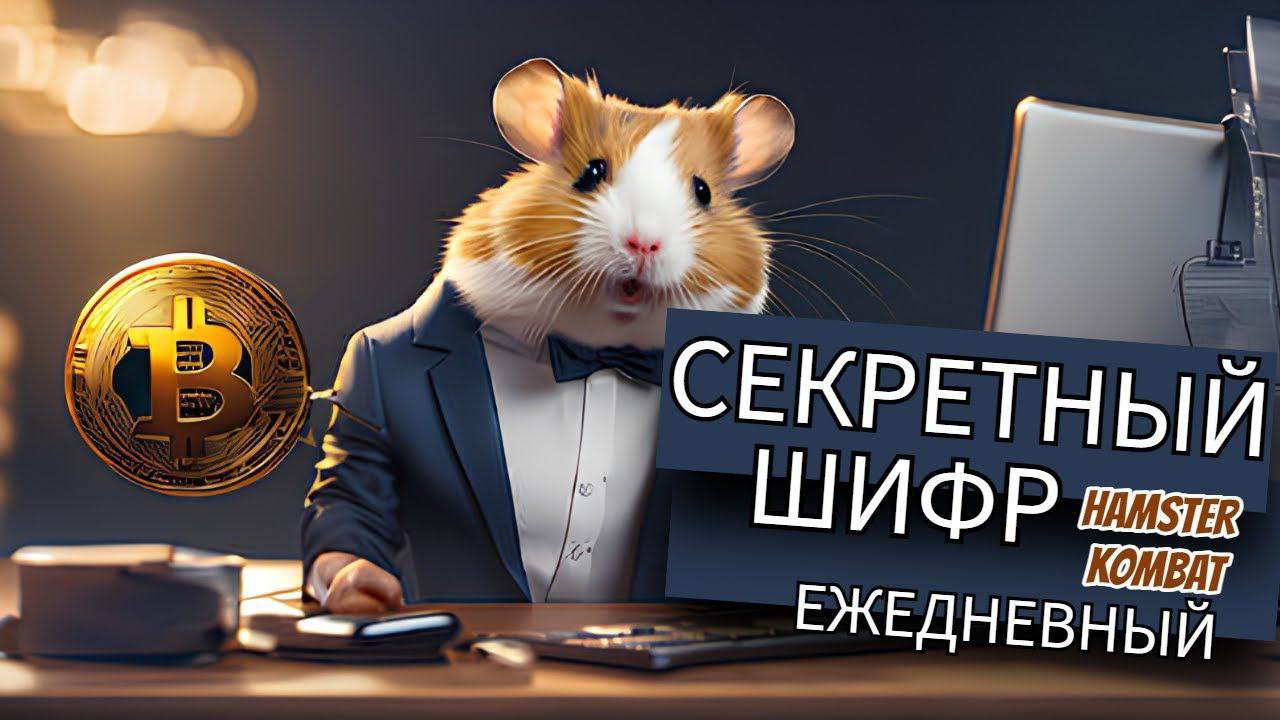 Шифр hamster kombat 24 августа