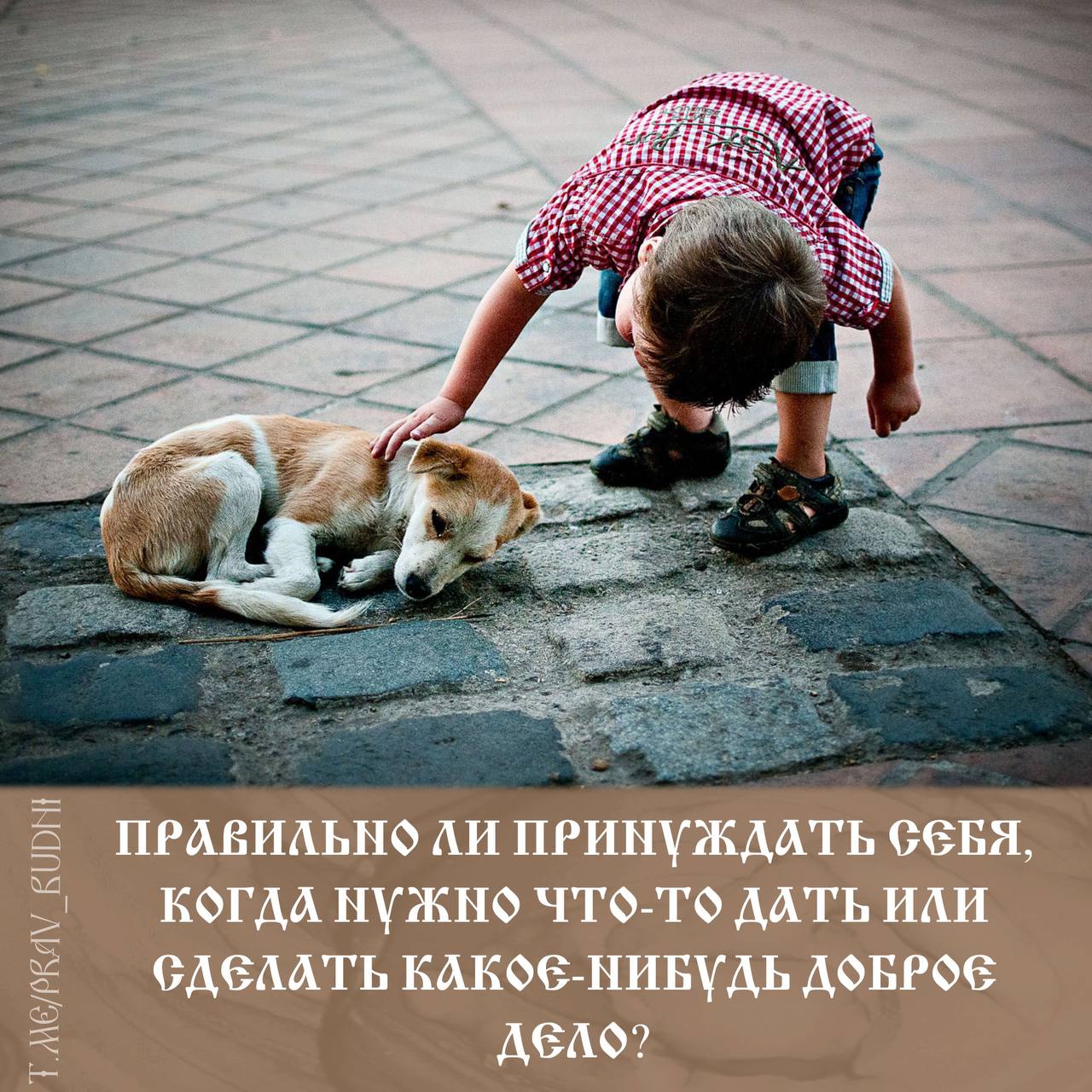 Доброта спасет мир картинки