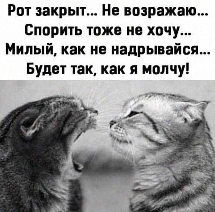 Терпеть и выжить. Терпеть и выжить. Всему есть предел цитаты. Выдержка единственный способ выжить в мире идиотов. Афоризмы о терпении и выдержке.