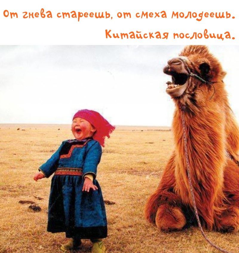 Рим или орда