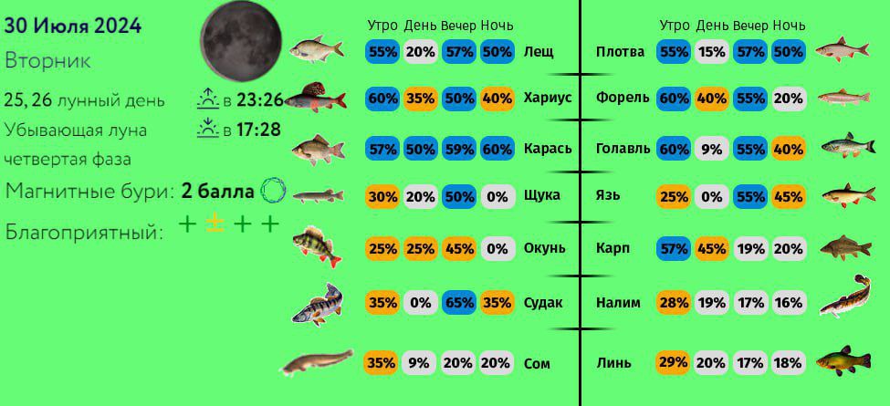 Прогноз клева в белгороде на 5. Прогноз клева в белгороде на 5