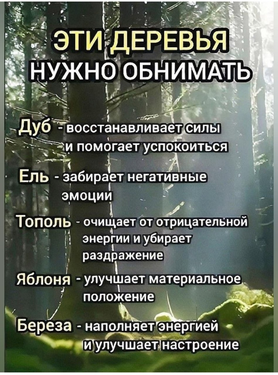 Вот как нужно набираться сил у природы гуляя лесом нагишом