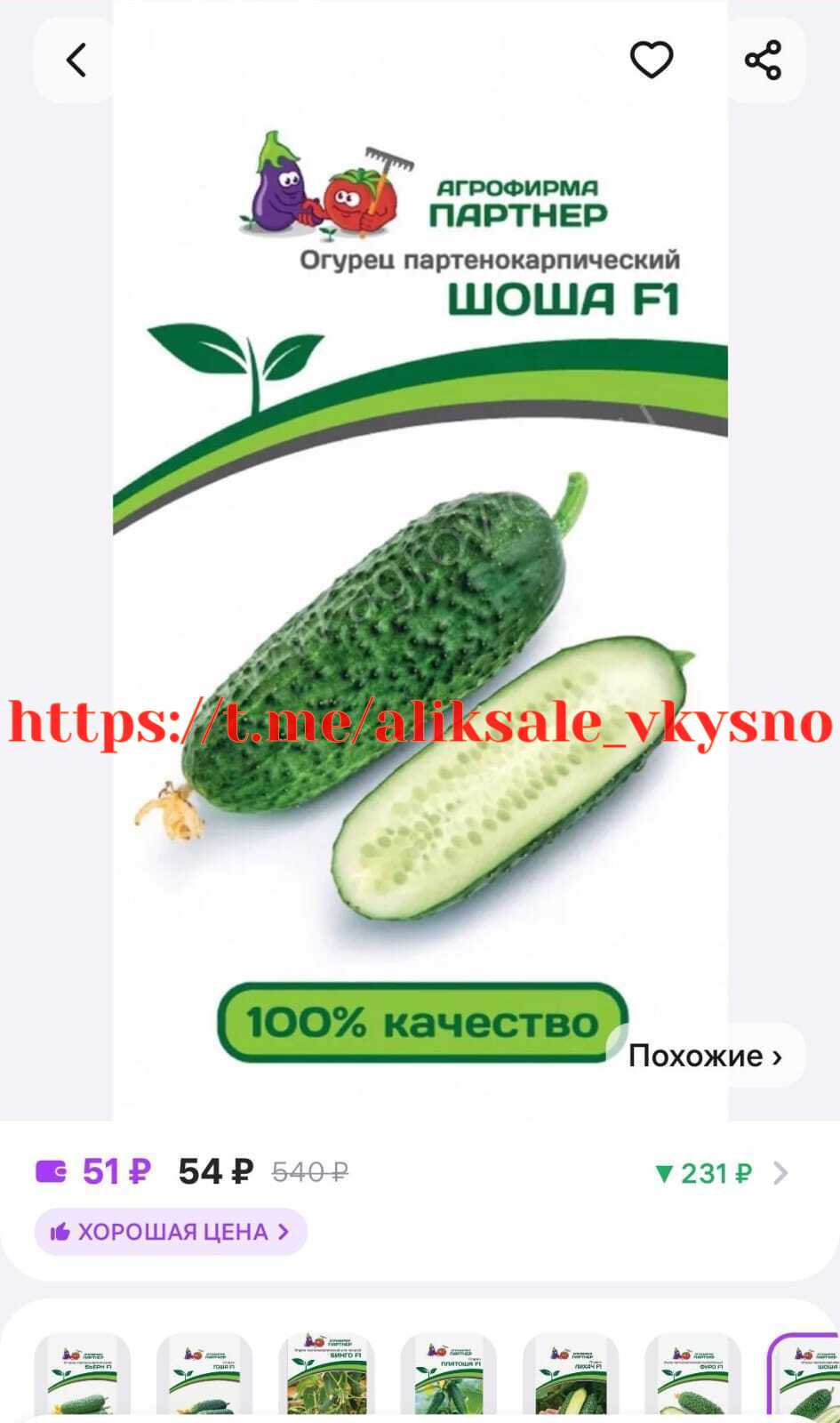 Огурец Шоша Купить В Спб