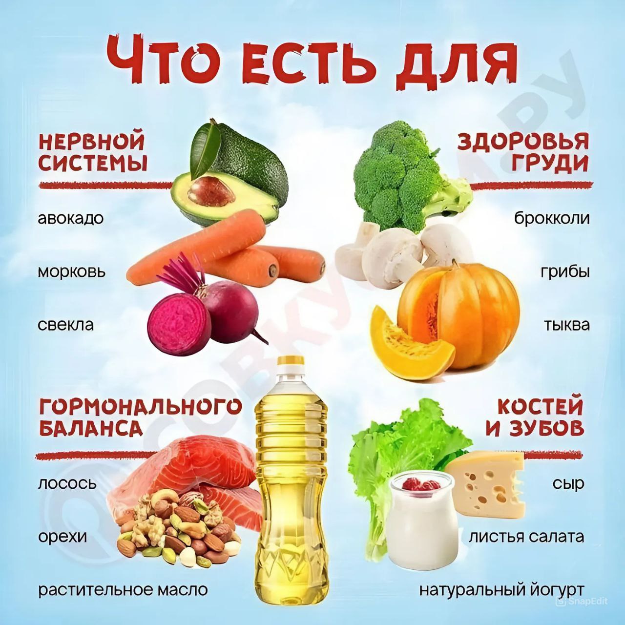 Какие Продукты Купить На День