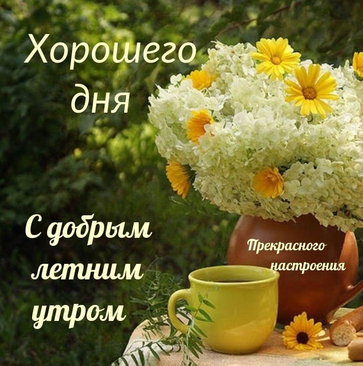 Доброе летнее утро. Красивые поздравления с добрым летним утром. Поздравление с добрым днем летним. Открытки с добрым летним прекрасным утром. Хорошего летнего дня.