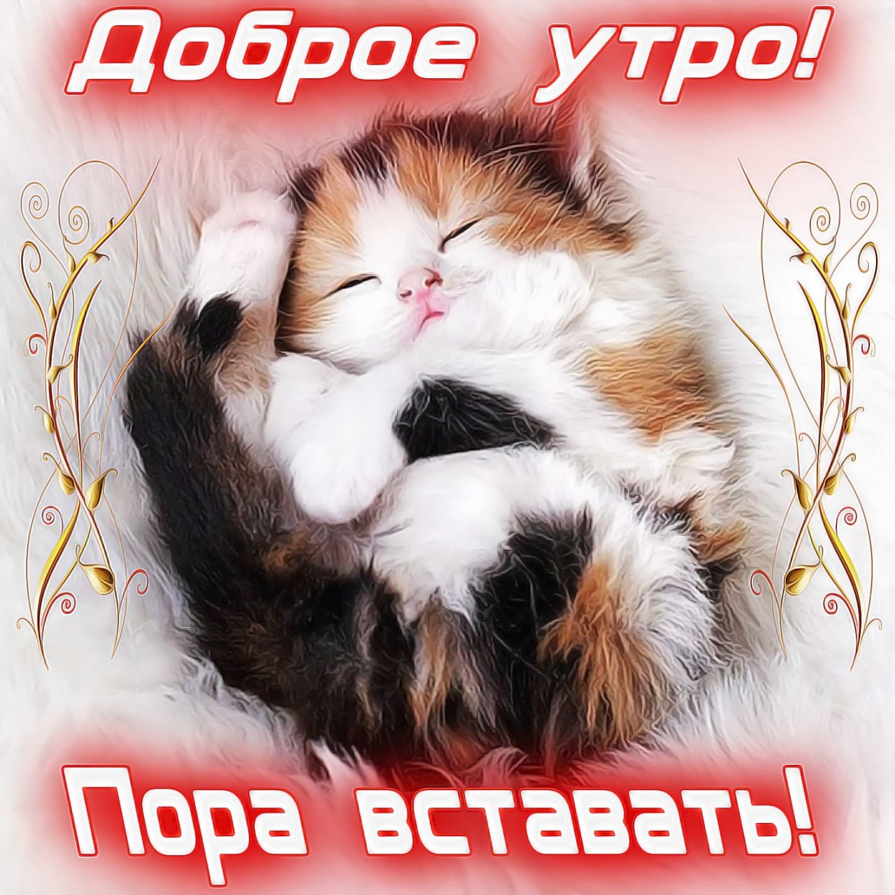 С добрым утром кошечка моя