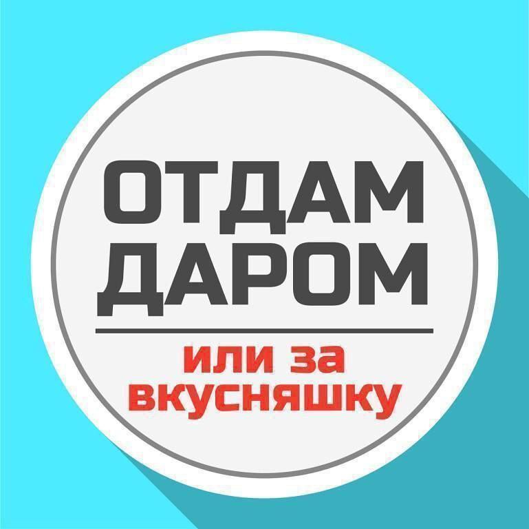 Отдам даром. Хорошо сейчас отдам. Хорошо сейчас отдам. Отдам даром надпись. Отдам даром картинки.