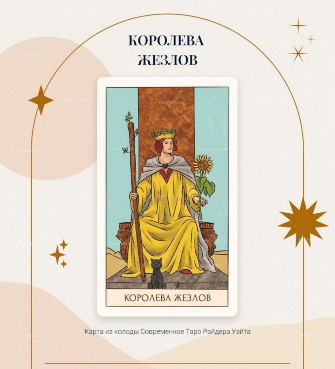 На чувства выпала королева жезлов. На чувства выпала королева жезлов. Королева жезлов луна. Королева жезлов картинки. На чувства выпала королева жезлов.