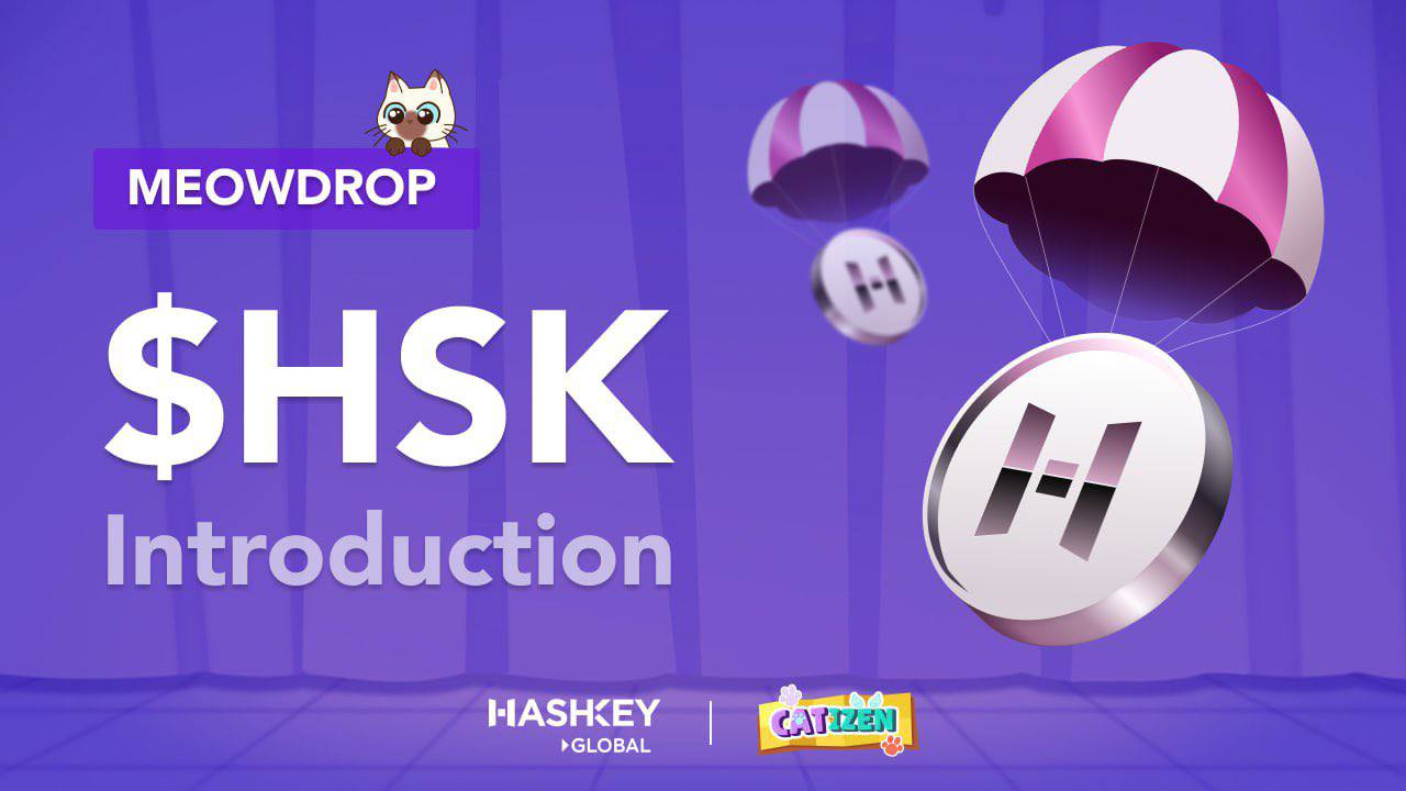 Catizen hashkey. Catizen hashkey