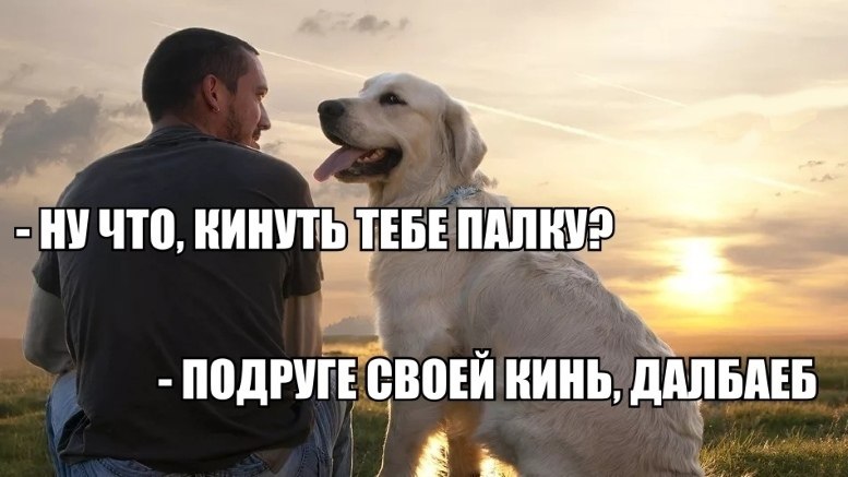 Подарил цветы и кинул зрелой палку Подарил цветы и кинул зрелой палку